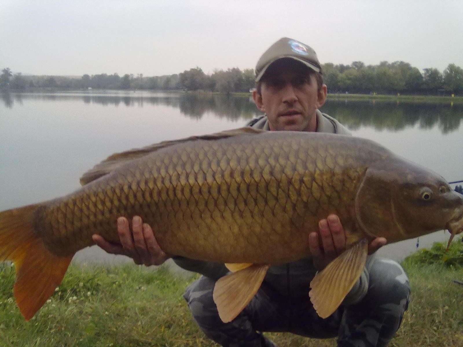 florian tanasa - 22102011044.jpg